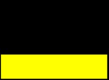 black/yellow
